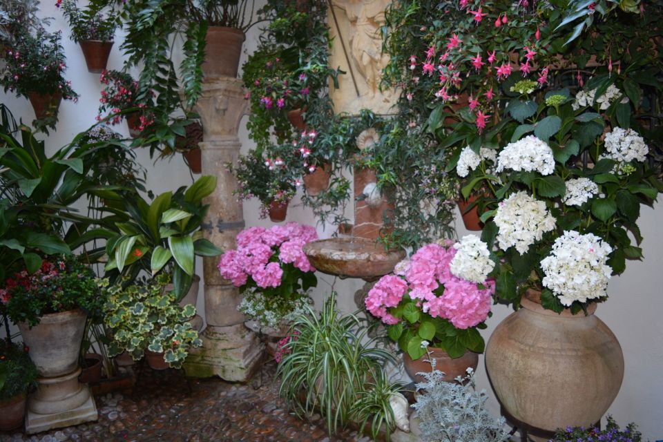 Sights, Sounds, and Scents of Córdoba's Patios - Price and Value: Why $26 Can Make Sense Here