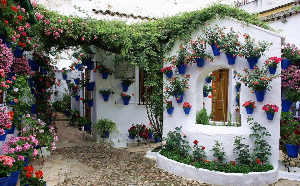 Sights, Sounds, and Scents of Córdoba's Patios - Meeting at Manolete and Getting Oriented in Santa Marina