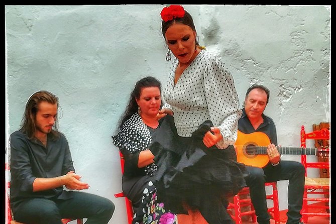Skip the Line: Tablao Flamenco Pura Esencia Ticket - Who should book this (and who should skip)