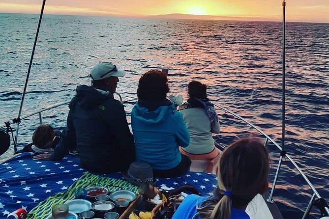 Small Group Boat Whale and Dolphin Watching Tour - Stop at Playa de Ses Salinas: picnic, swim, and snorkeling time