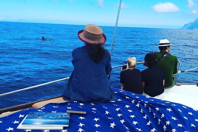 Small Group Boat Whale and Dolphin Watching Tour - Onboard food and little extras that add up