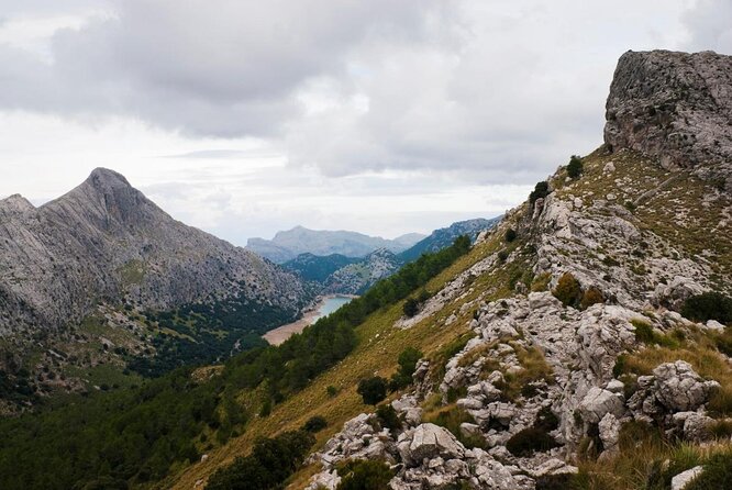 Small-Group Cliff Jumping Experience in Mallorca - Price and Value: What $90.51 Gets You in Mallorca