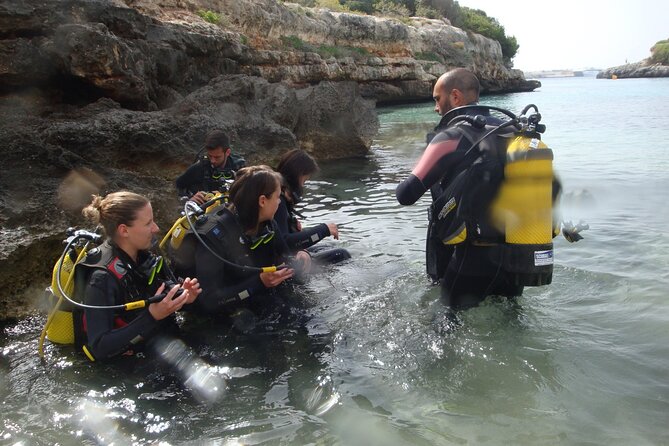 Small Group Diving Adventure in Menorca - Your 30–40 minute underwater walk: what to expect and how to feel ready