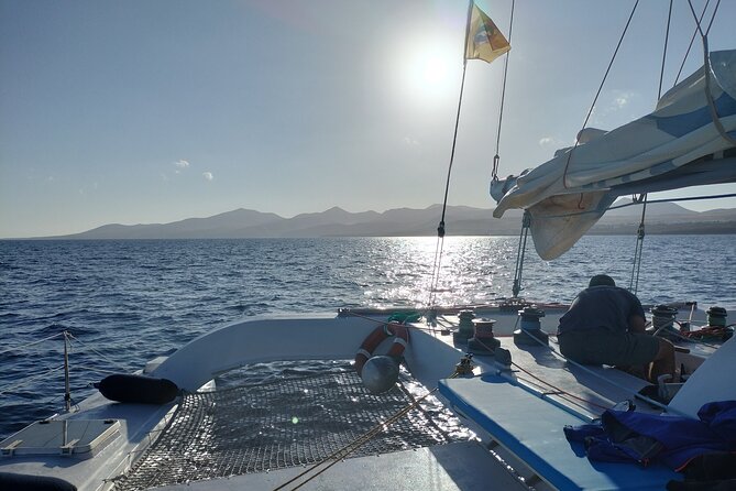 Small Group Dolphin Sunset Tour on Electric Catamaran Lanzarote - How the 2.5-hour cruise timing plays out on the water