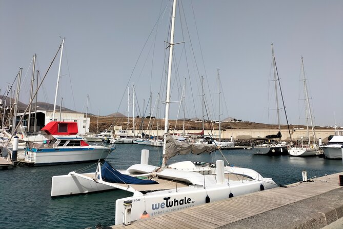 Small Group Dolphin Sunset Tour on Electric Catamaran Lanzarote - What to wear: small comfort choices that make a big difference