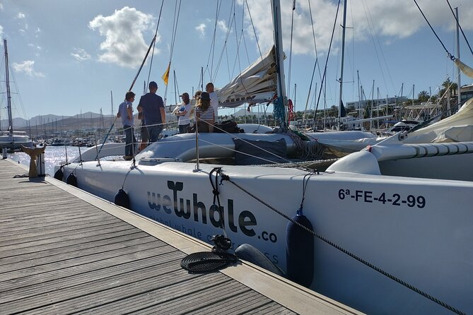 Small Group Dolphin Sunset Tour on Electric Catamaran Lanzarote - Is it worth $90.70? A value check for the electric sunset format