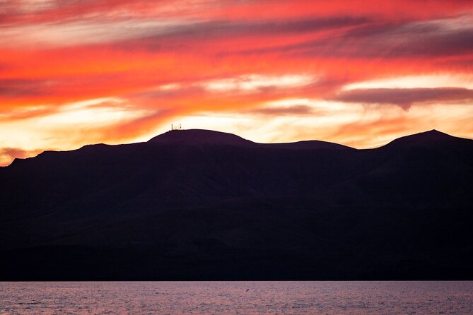 Small Group Dolphin Sunset Tour on Electric Catamaran Lanzarote - Who this dolphin sunset tour is best for