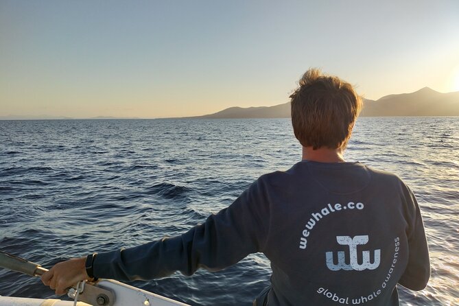 Small Group Dolphin Sunset Tour on Electric Catamaran Lanzarote - Route and views: from Dock F22 toward Playa Quemada and Femés