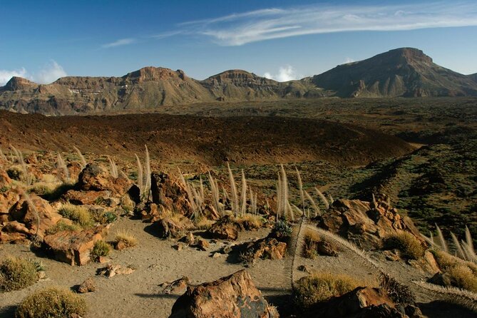 Small-Group Half-Day Tour of Teide National Park with Pickup - Key takeaways before you go
