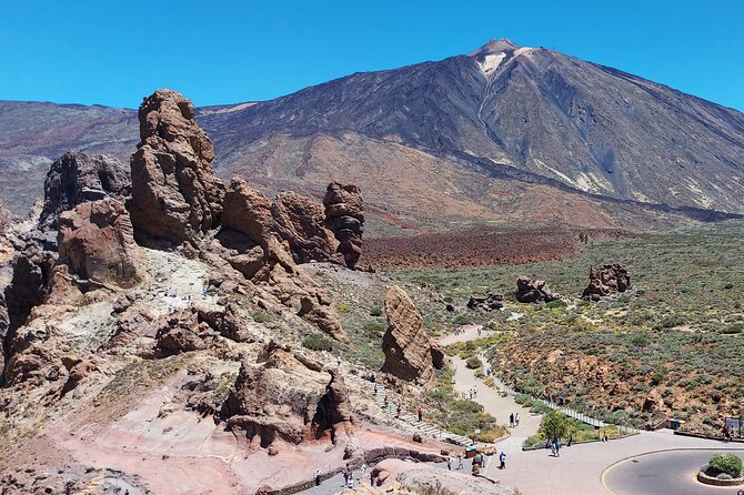 Small Group Teide National Park Volcanic and Forest Wonders - The 4–5 Hour Structure: Short Stops, Big Payoff
