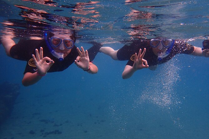 Snorkel in Lanzarote with Guide - Key highlights I’d plan around