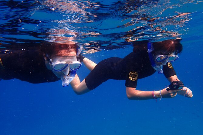 Snorkel in Lanzarote with Guide - Spotting marine life with beginner-friendly guidance