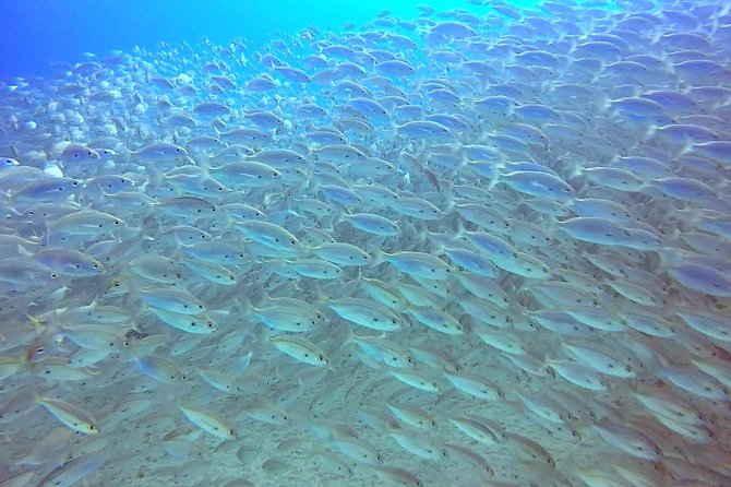 Snorkel in Lanzarote with Guide - Post-snorkel snack and refreshments: a simple ending that helps