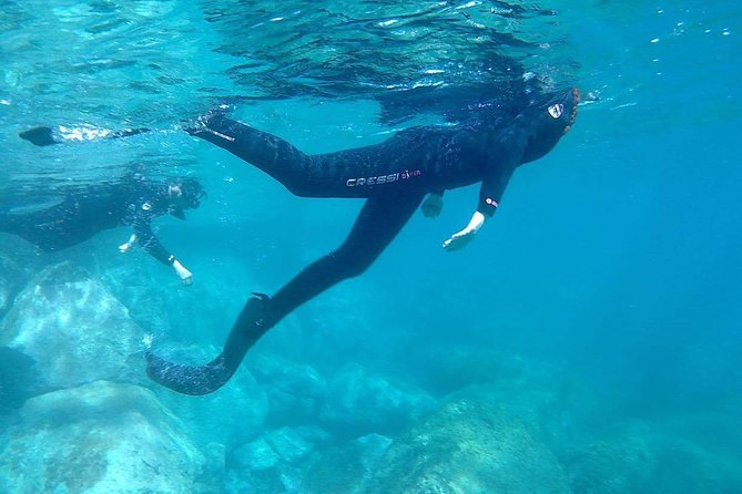 Snorkeling in Gran Canaria with Hotel Pick-up - Book It or Skip It: My Decision Guide for Gran Canaria Mornings