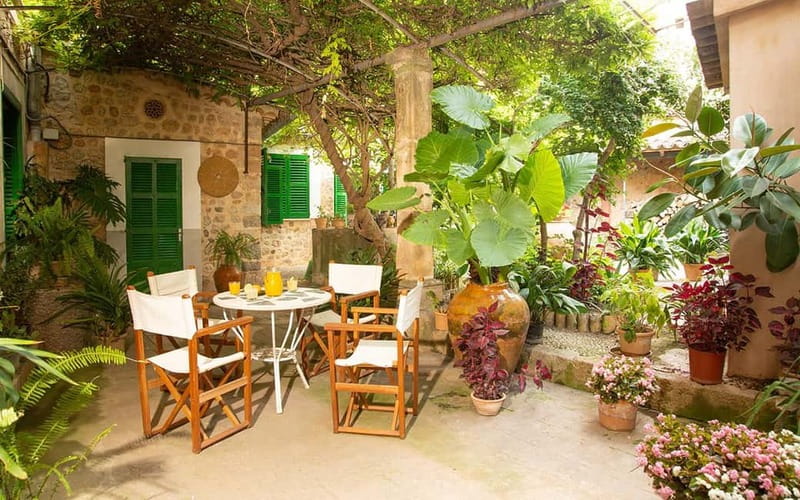 Sóller: Olive Oil Guided Tour and Tasting at Can Det Estate - What you’ll do on the guided walk at Can Det Estate