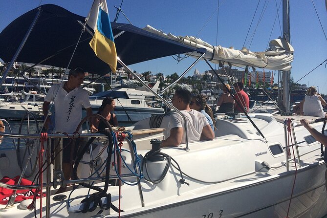 South Coast Tenerife Cruise - A 3-hour South Coast sailing plan from Puerto Colón
