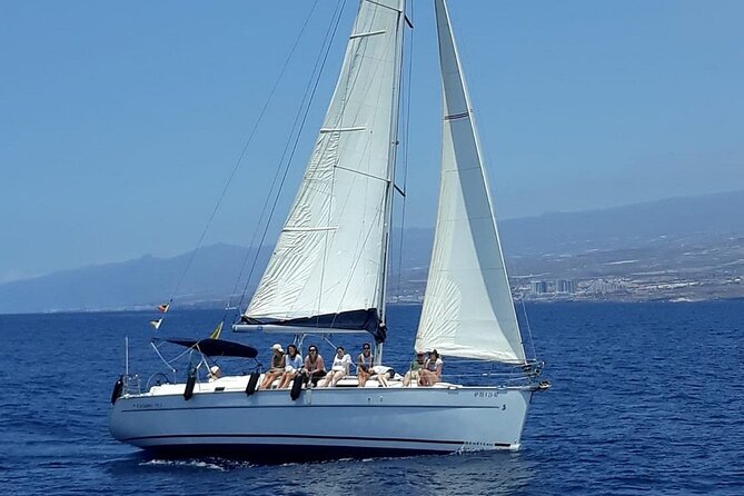 South Coast Tenerife Cruise - Price and value: what $66.54 really buys you