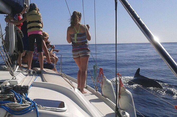 South Coast Tenerife Cruise - When the sea is windy: the one consideration that can change your plan