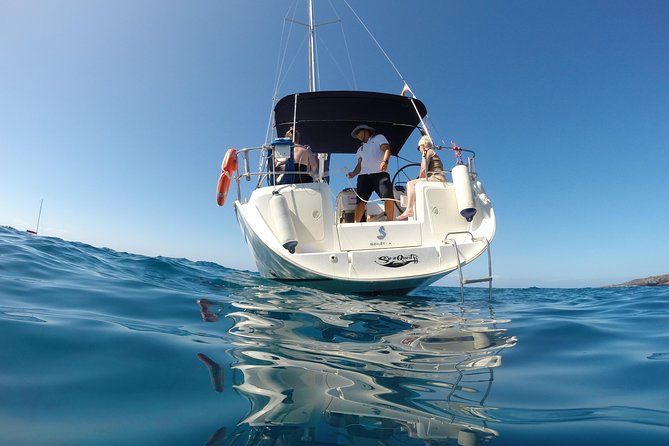 South Coast Tenerife Cruise - Velero SeaQuestFF and the on-board vibe: small group, real comfort