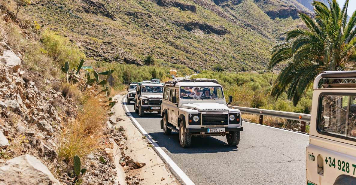 South Gran Canaria: Off-Road Valleys & Villages Jeep Tour - Key things I’d circle on your day plan