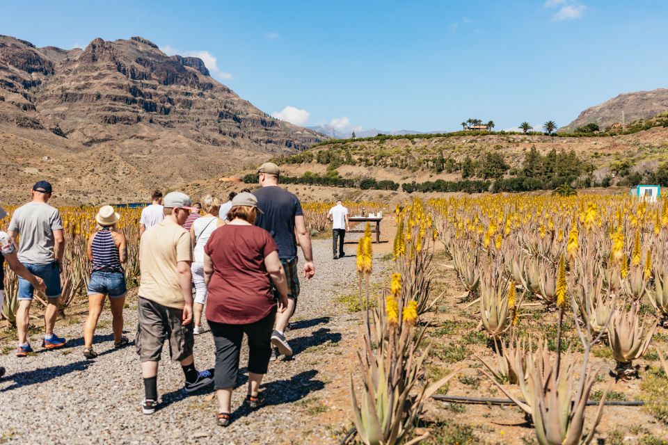 South Gran Canaria: Off-Road Valleys & Villages Jeep Tour - The south-inland Gran Canaria view that a bus can’t copy