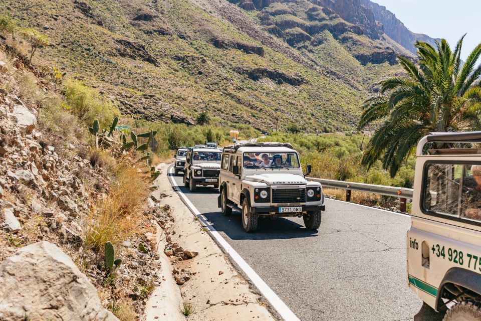 South Gran Canaria: Off-Road Valleys & Villages Jeep Tour - Miradors Astronómico and Las Moscas: more viewpoints, less rushing