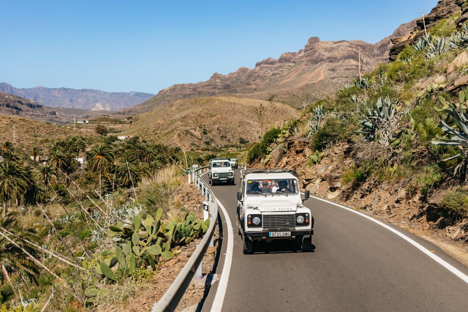 South Gran Canaria: Off-Road Valleys & Villages Jeep Tour - Guides, languages, and the small-group feel