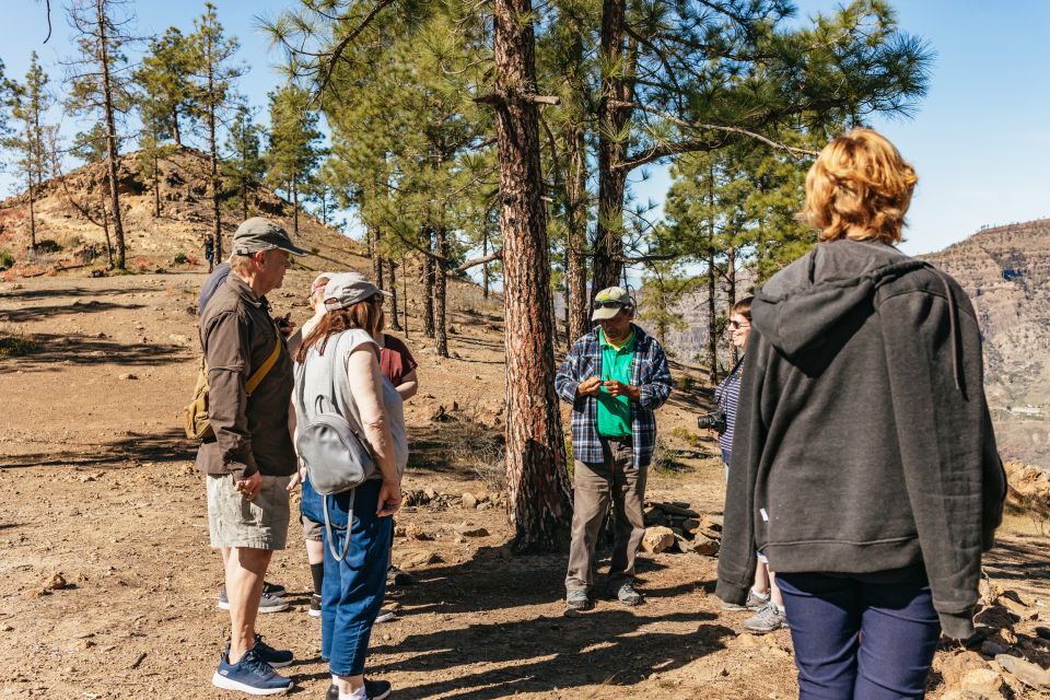 South Gran Canaria: Off-Road Valleys & Villages Jeep Tour - Roque Nublo and the Chira area: the “why this route exists” stops