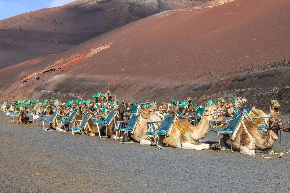 South Tour: Timanfaya National Park - Key takeaways before you go