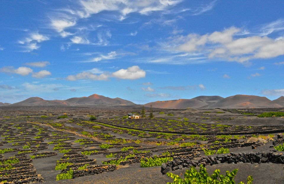 South Tour: Timanfaya National Park - El Golfo and the Green Lagoon: What 20 Minutes Really Gives You