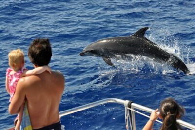 Spirit of the Sea: Cetacean sighting in Gran Canaria - Boarding Briefing: The Little Paper That Makes Watching Click