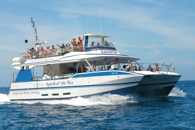 Spirit of the Sea: Cetacean sighting in Gran Canaria - When the Sea Gets Rough: Seasickness and Viewing Conditions
