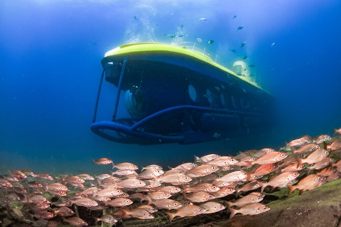 SUBMARINE ADVENTURE - Submarine Excursion in Puerto de Mogán - Quick Hits Before You Swim (Without Swimming)