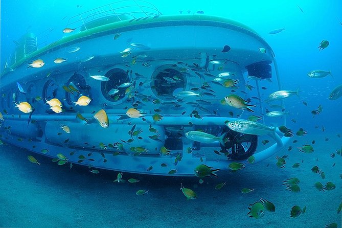 Submarine Safaris Lanzarote - Your onboard certificate and time back at Puerto Calero