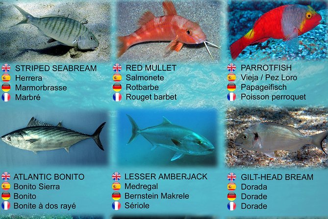 Submarine Safaris Lanzarote - Practical checklist before you go