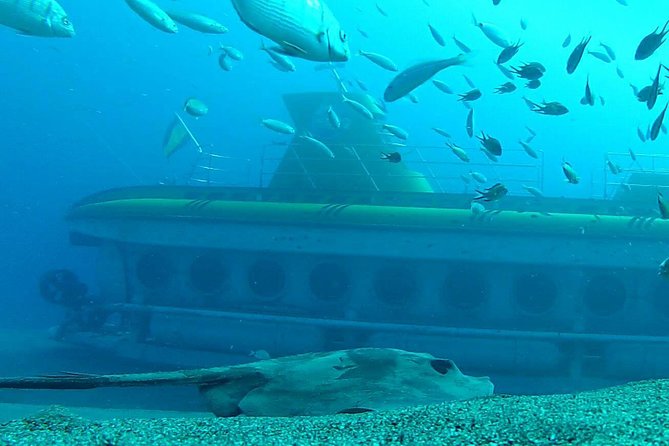 Submarine Safaris Lanzarote - Transfers and timing: how to avoid stress