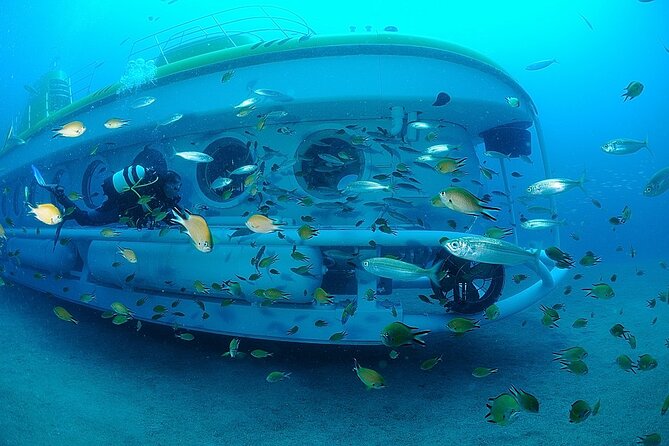 Submarine tour Tenerife: a 1 hour underwater experience - Entering The Experience: marina timing, seating, and why 30 minutes matters