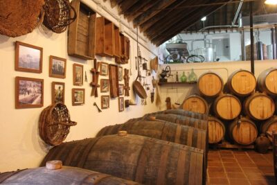 Sun and Wine Route - Small group, wine tasting and tapas included - Getting there: pickup on the coast and a mountain drive