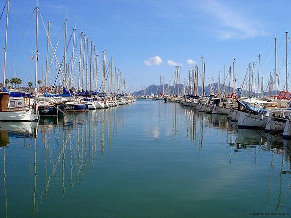 Sunrise Boat Trip in Mallorca with Dolphin-Watching - Key highlights and practical takeaways