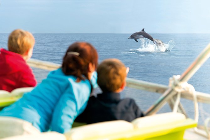 Sunrise Boat Trip in Mallorca with Dolphin-Watching - A 5:30 wake-up for dolphins and first light