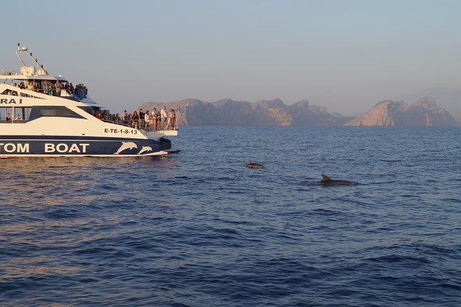 Sunrise Boat Trip in Mallorca with Dolphin-Watching - Stop 2 in Port d’Alcúdia: dolphin-watching plus breakfast with morning views
