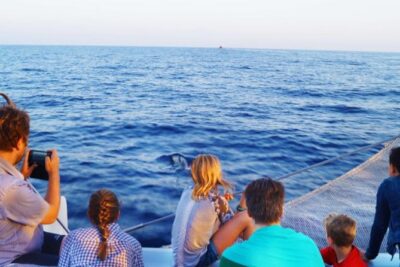 Sunrise Boat Trip in Mallorca with Dolphin-Watching - Alcúdia to Cap de Formentor: how the route shapes your chances