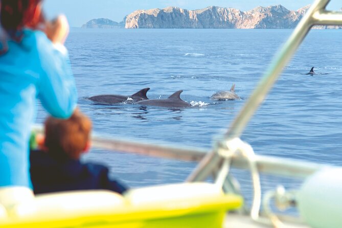 Sunrise Boat Trip in Mallorca with Dolphin-Watching - Stop 3 at Cap de Formentor: the dolphin stop and why engines-off is the magic