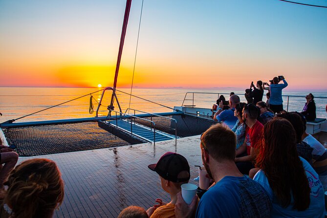 Sunrise Boat Trip in Mallorca with Dolphin-Watching - The boat feel: big catamaran, big crowd, and what to do with it