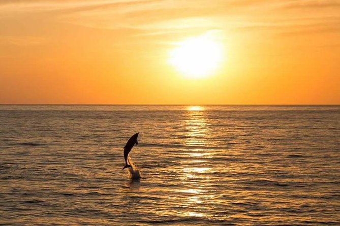 Sunset Beach Hopping Cruise, Cala Comte and Cala Bassa, SUP and snorkelling - Should you book the Sunset Beach Hopping Cruise?