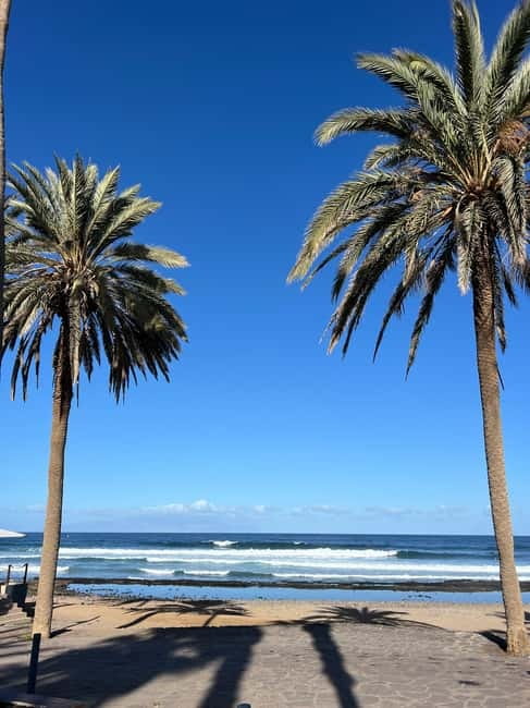 Surf in Tenerife – Photos Included & Stand Up From Day One - Daily surf spots on Tenerife: getting the right waves for your level