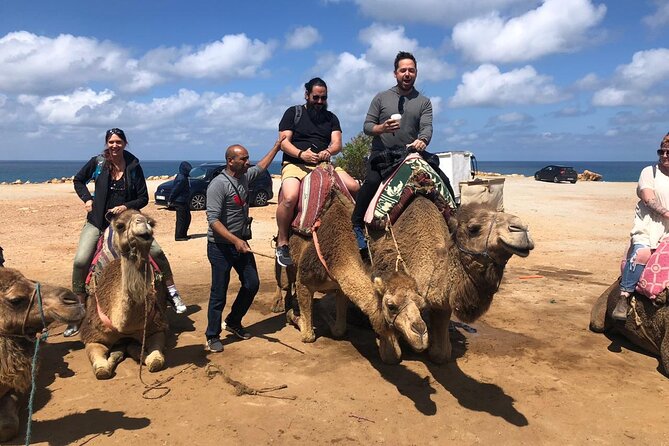 Tangier Day Trip from Seville - Price and logistics: what you’re really paying for
