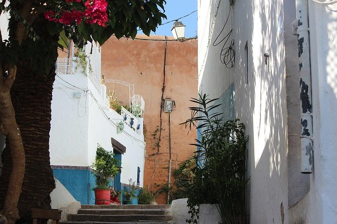 Tangier Day Trip from Seville with Lunch Included & Local Guide - Who this tour fits best in Seville