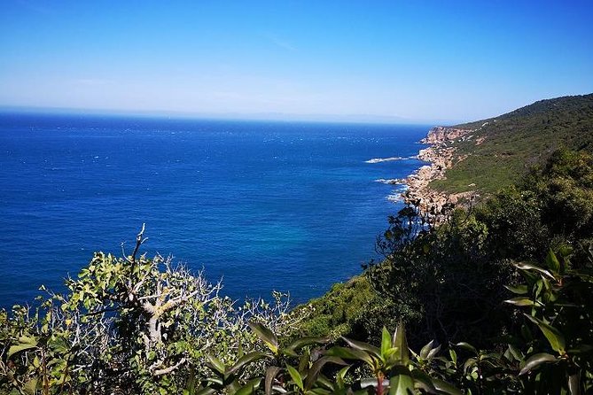 Tangier Guided Tour from Tarifa - Tangier From Tarifa: What This Day Tour Really Adds