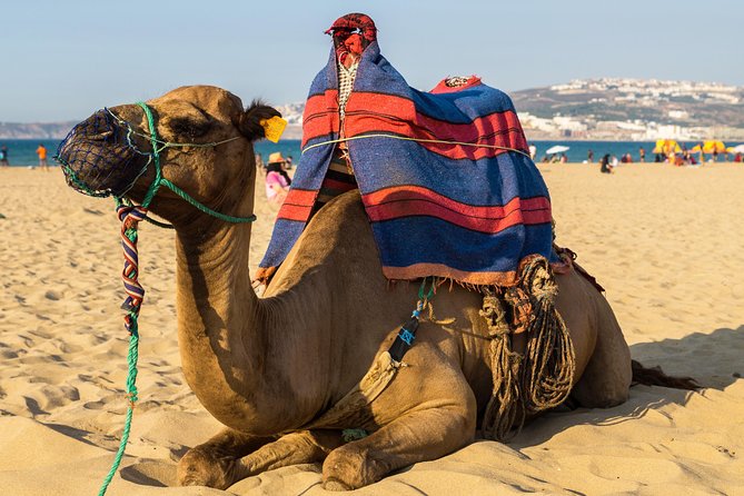 Tangier (Morocco) Day Trip from Seville with Local Guide - Tarifa to Tangier: Crossing the Edge of Europe